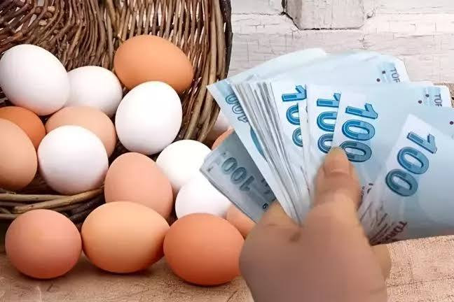 Yumurta Fiyatları Neden Artıyor?